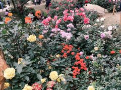 -人民公园(罗湖区)