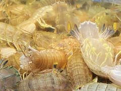 -东江海鲜大排档·潮汕菜·砂锅粥