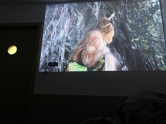 -锦初•影院式足道•新中式SPA(茂业天地店)