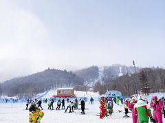 -亚布力新体委滑雪场
