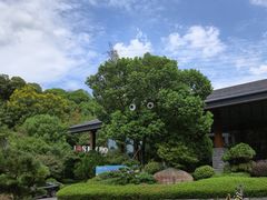 -杭州开元森泊度假乐园