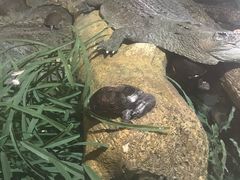 -上海海洋水族馆