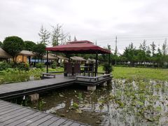 -洪湖家庭农场·团建·露营·会议