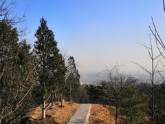 -北京鹫峰国家森林公园