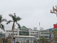 -打洛口岸