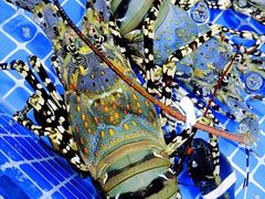 -覃记海鲜美食餐厅