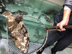 -鲤鱼门海鲜街