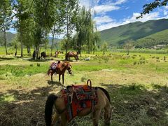 -泸沽湖国家级风景名胜区走婚桥