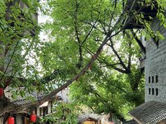 -重庆十八梯传统风貌区