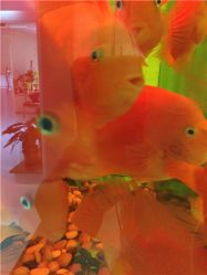 -西美医疗美容门诊部