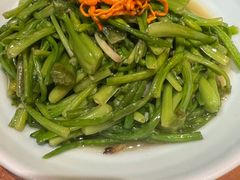 清炒水性杨花-老滇山寨•云南特色菜•地方菜•民族风情歌舞表演(金碧店)