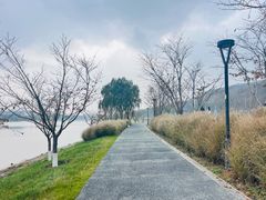 -羊山湖公园