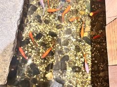 -邈墨茶馆(凤起路店)