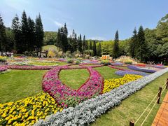 -深圳仙湖植物园