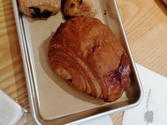-WHEN PIGS FLY当猪飞