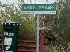 -洛阳古墓博物馆