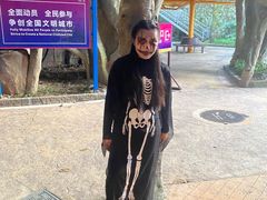 -横店影视城梦幻谷园区
