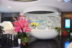 -比华利美容医院