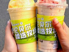 -茉酸奶(春熙路店)