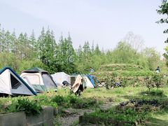 -前小桔亲子创意农场·草莓采摘·露营烧烤