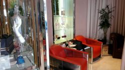 -TADASHI SHOJI(中国旗舰店)