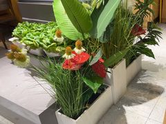 -九孔·筒骨莲藕汤锅(大明宫万达店)