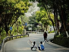 -铁山坪森林公园