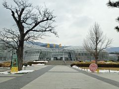 -北京植物园-展览温室