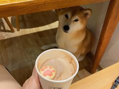猫爪热可可-猫小主咖啡·猫咖cat cafe(福田店)