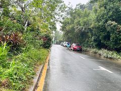 -梧桐山风景名胜区