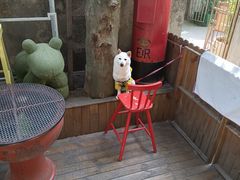 -猫色咖啡·猫咖