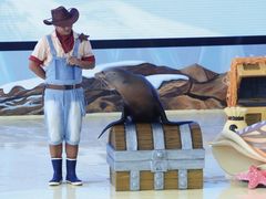 -三亚海昌梦幻海洋不夜城