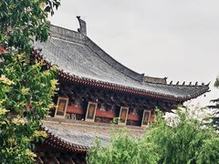 -洛阳白马寺