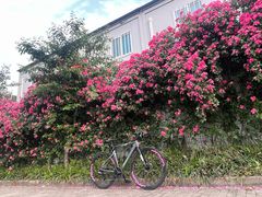 -ACEOFFIX折叠自行车(浦东专卖店)