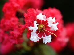 -杭州城北体育公园