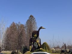 -盐城丹顶鹤湿地生态旅游区