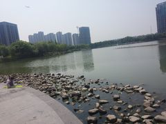 -南翔镇银翔湖公园