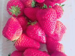 -果蔬好生活超市(乐堤港店)