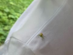 -青峰峡国家森林公园