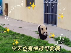 -西安秦岭野生动物园