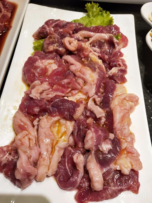 韩味园果木炭烤鲜肉(陵东店)烤肥牛图片 第260张