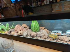 -鹿萤季·营地小馆(皇后公园店)