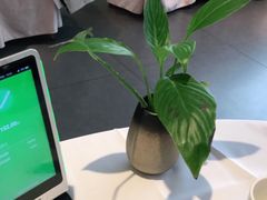 -眉州东坡(通州店)