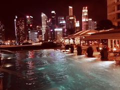 -新加坡文华东方酒店