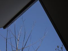 -COFFEE CALL(云锦路店)