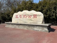 -莲花池公园