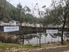 -南丹山森林王国