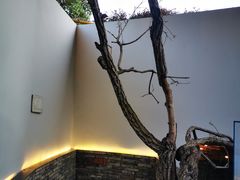-几荷·恰似故人来(秀水广场店)