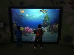 -陕西科学技术馆