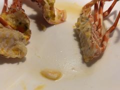 -揽季锅物会.福建黄鱼.海鲜姿造(五四路店)